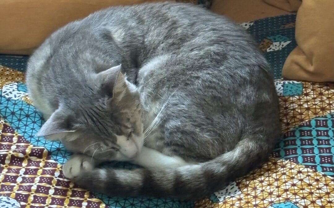 Merlin et la perte de son oeil