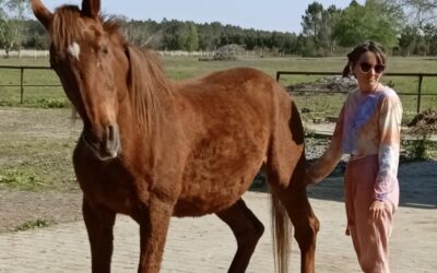 Témoignage « Forever Freedom » sur un cheval