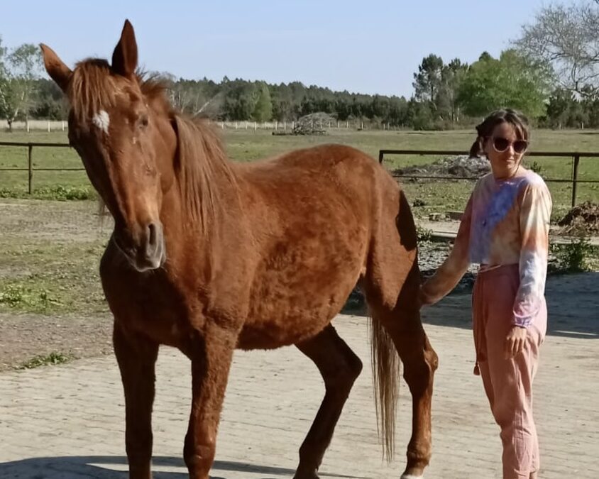 Témoignage « Forever Freedom » sur un cheval
